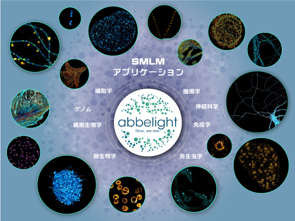 超解像度顕微鏡（単分子局在顕微鏡） SAFeシリーズ 画像5