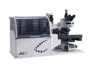 デジタル核型解析システム CytoPower 画像4