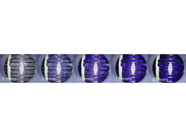 小型オゾン供給システム 画像4