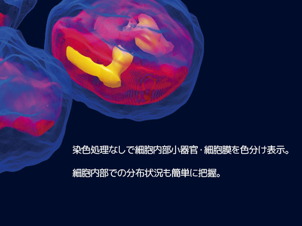 細胞観察用ホログラフィック顕微鏡　3D Cell Explorer 画像1