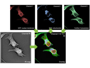 細胞観察用ホログラフィック・蛍光顕微鏡 3D Cell Explorer-fluo 画像5