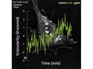 3D Cell Explorerシリーズ専用ソフトウェア「LIVE T CELL ASSAY」 画像3