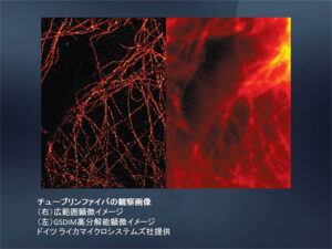 高解像度･高速･低ノイズ16bit sCMOSカメラ　pco.edge 画像4
