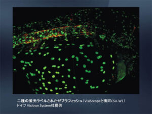 高解像度･高速･低ノイズ16bit sCMOSカメラ　pco.edge 画像6