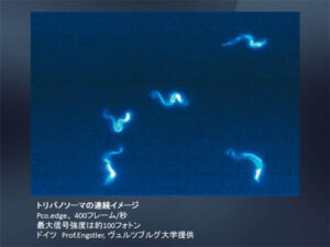 高解像度･高速･低ノイズ16bit sCMOSカメラ　pco.edge 画像9