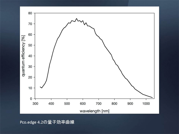 高解像度･高速･低ノイズ16bit sCMOSカメラ　pco.edge 画像13