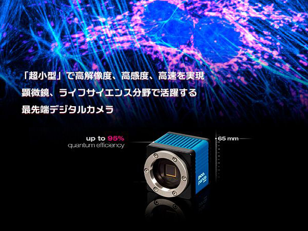超小型･低価格16bit sCMOS カメラ　pco.panda 画像1