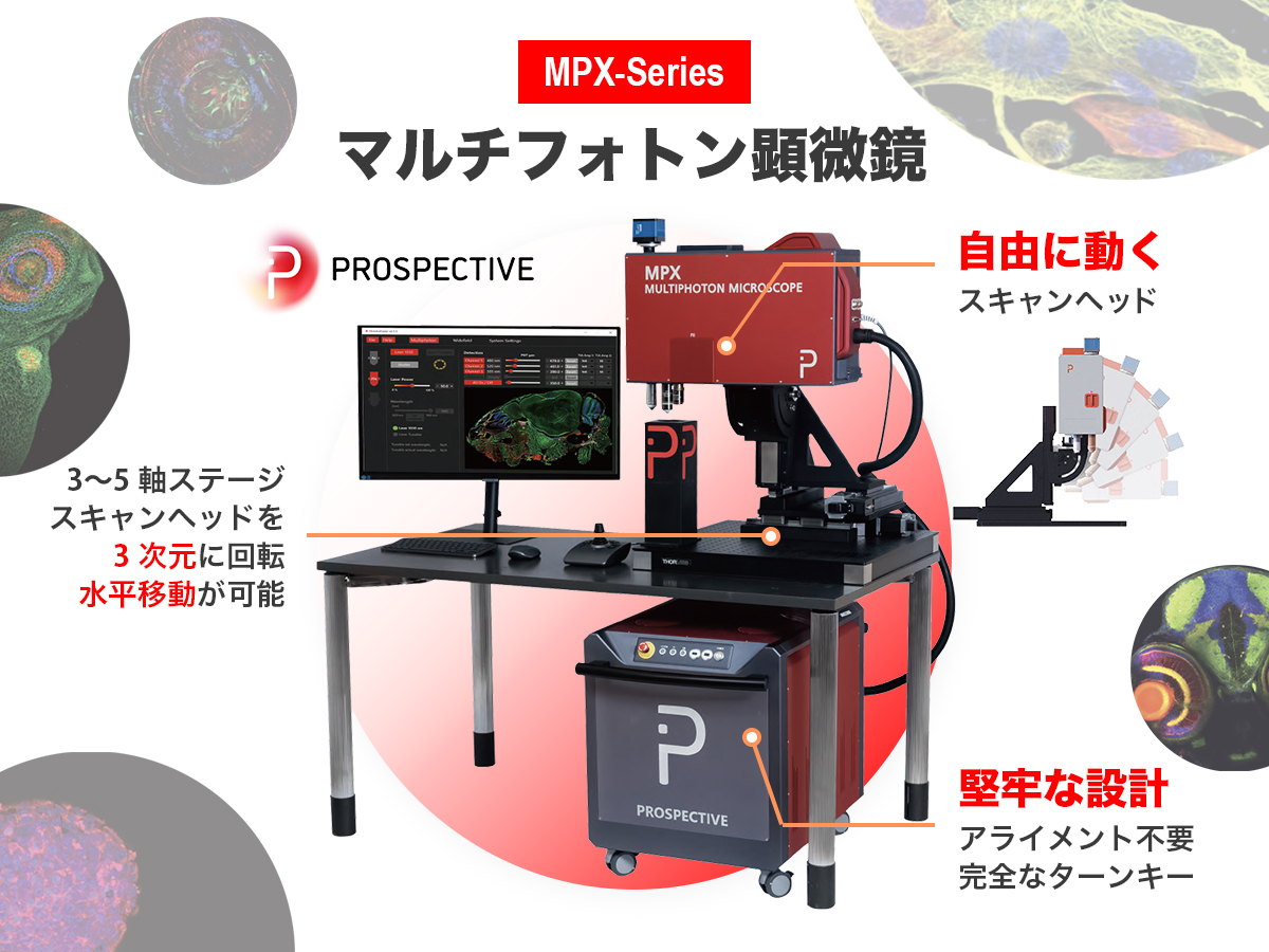 マルチフォトン顕微鏡　MPXシリーズ 画像1