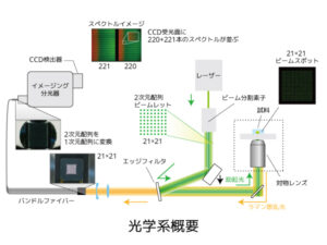 多共焦点ラマン顕微鏡 Phalanx-R 画像2