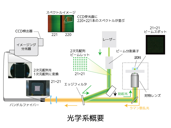 多共焦点ラマン顕微鏡 Phalanx-R 画像2